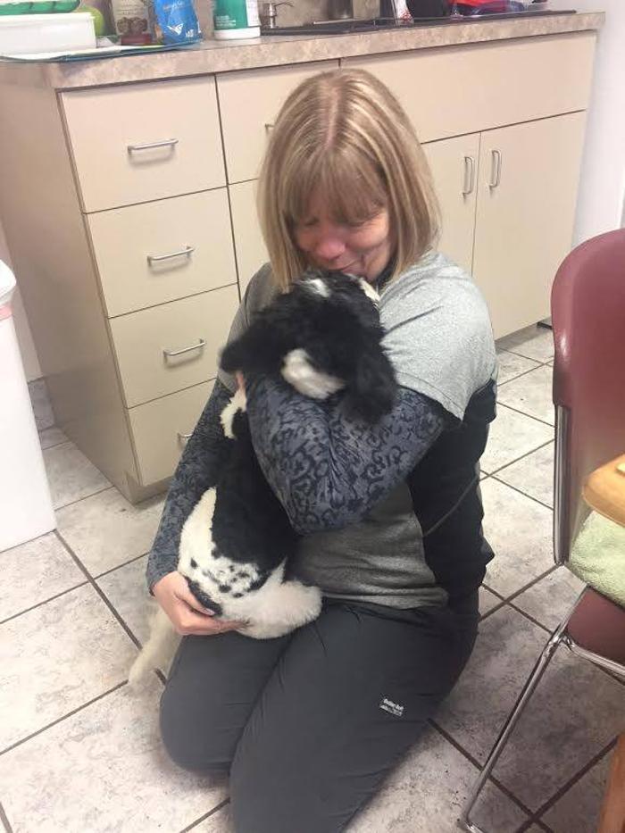 Deer Park Veterinary Hospital