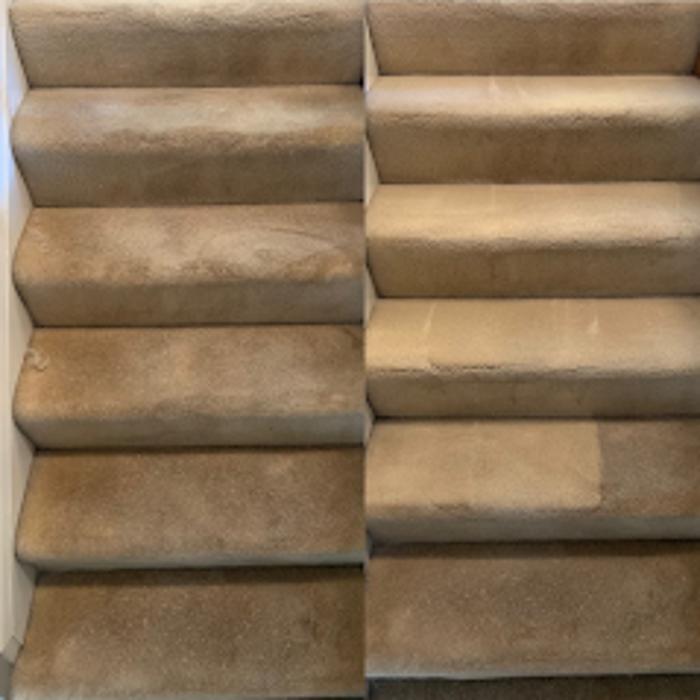 Aardvark Carpet Service