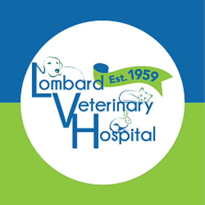 Lombard Veterinary Hospital