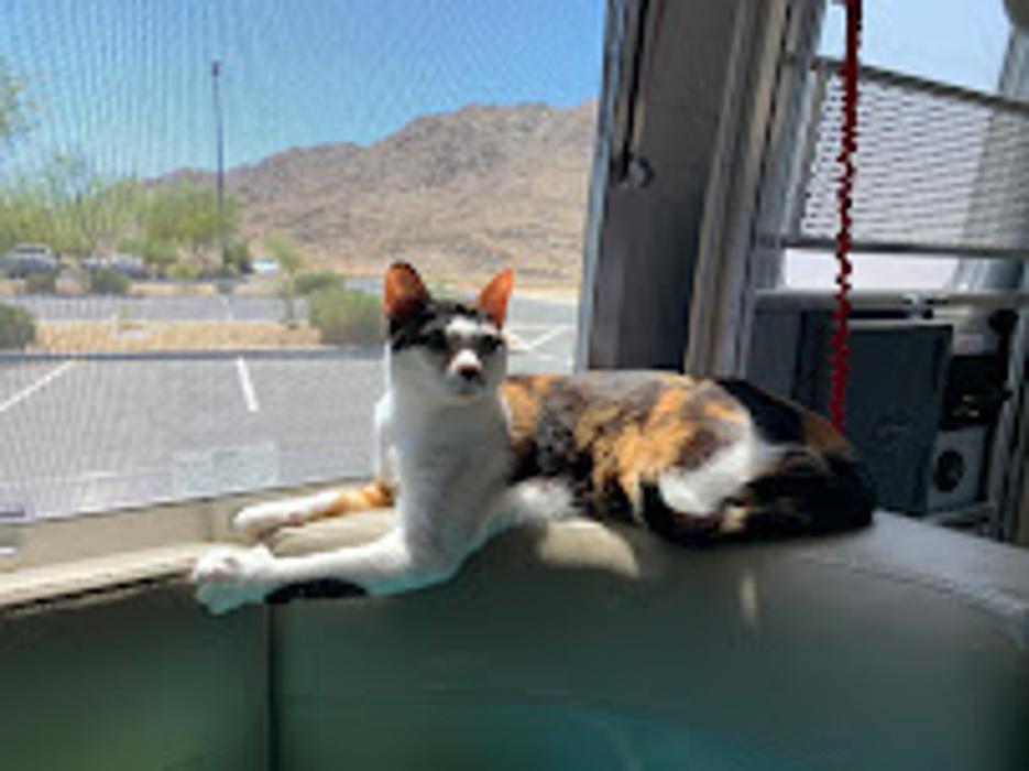 Ancare Veterinary Clinic