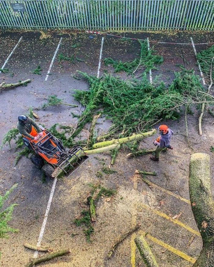 Valley ARBS Tree Surgeon