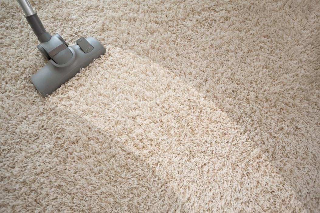 Fraser Elite Carpet Cleaning