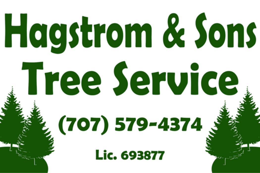 Hagstrom & Sons Tree Service