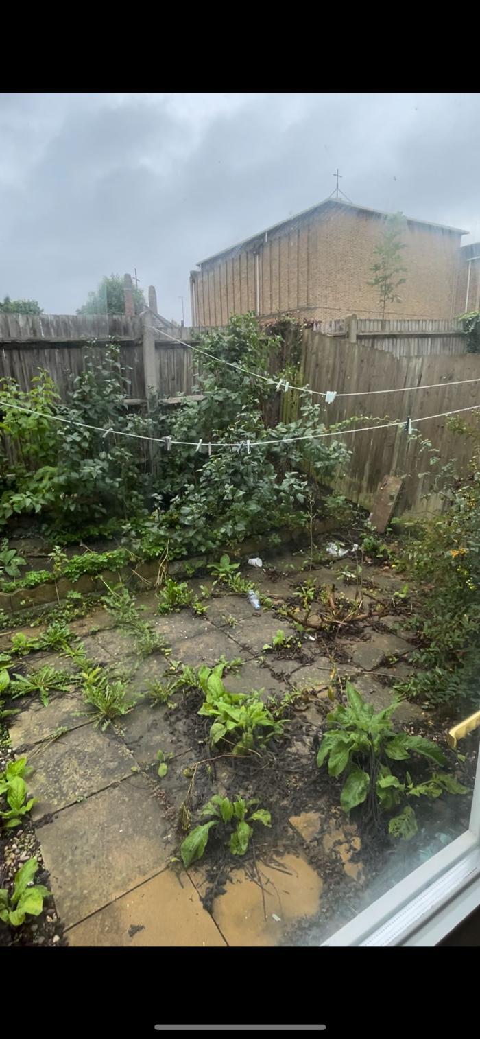 Roof Doctor and Maintenance Pro Ltd