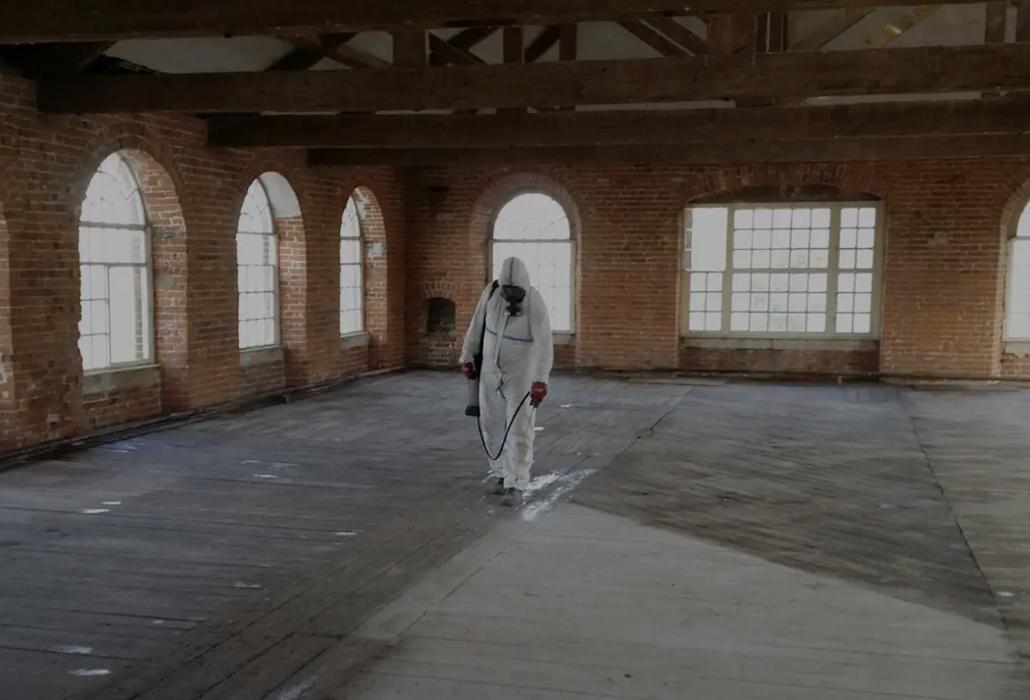 British Bird Control - North East England