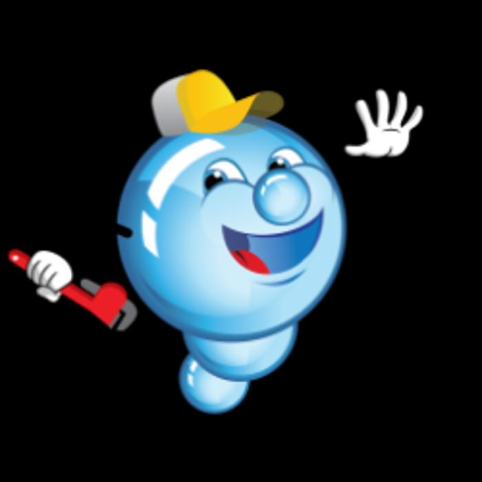 The Clean Plumbers