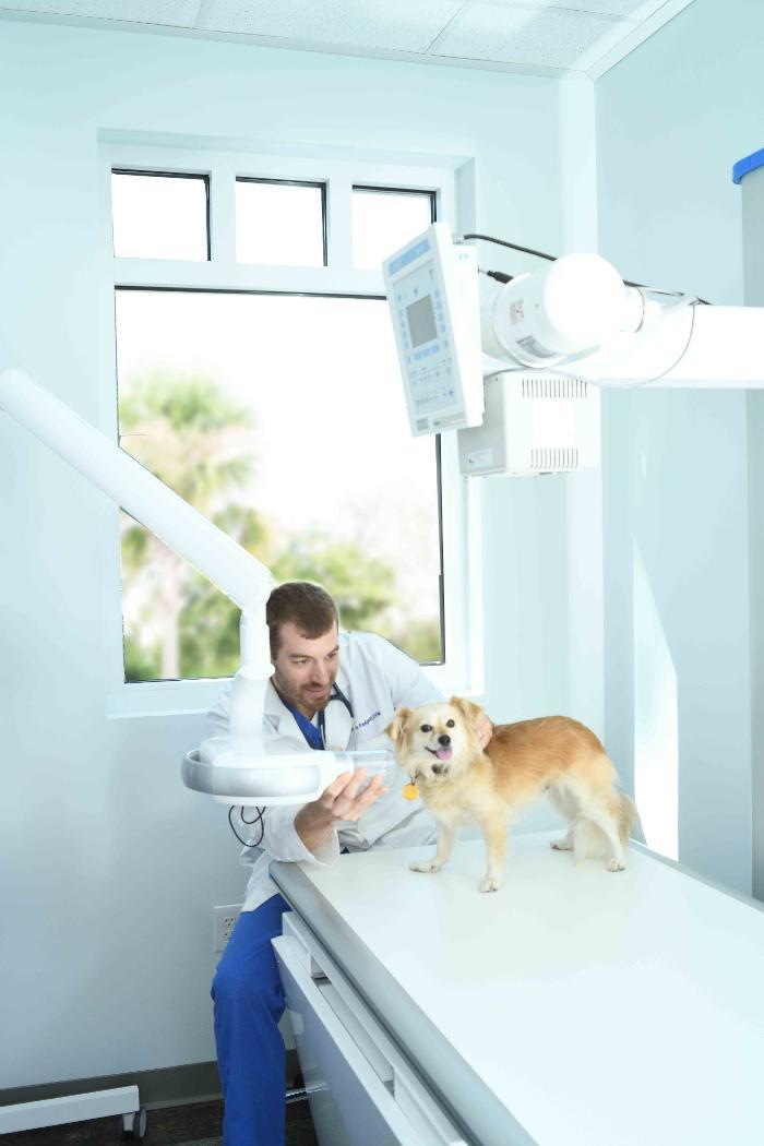 Clements Ferry Veterinary