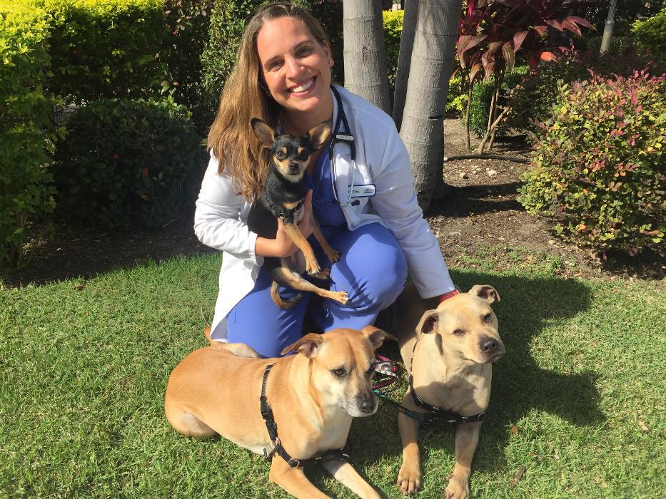 University Animal Clinic