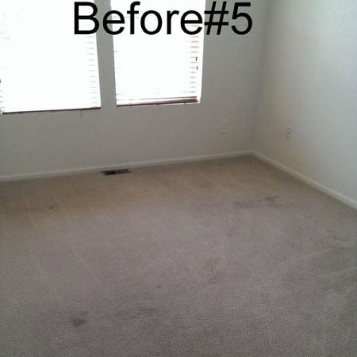 Mountain Standard Carpet & Upholstery Cleaning