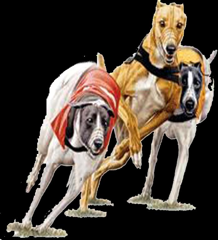 Winning Post Supplies