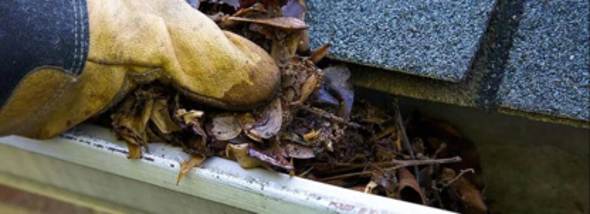 WorkPro Window Gutter & Pressure Cleaning Ltd