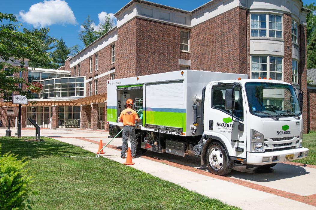 SavATree - Tree Service