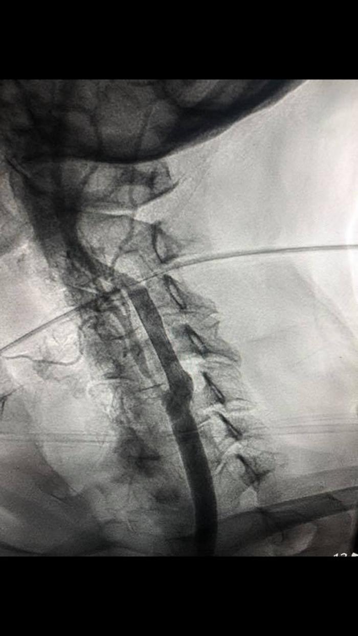 Downriver Heart & Vascular Specialists, PC