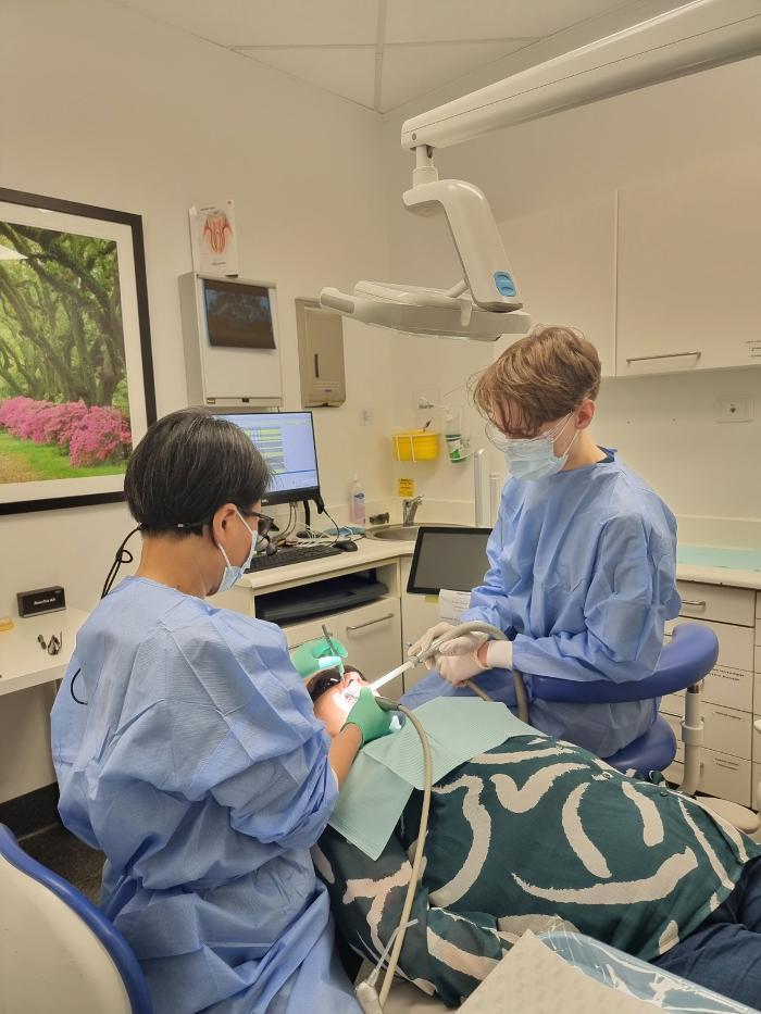 Primary Dental Ringwood