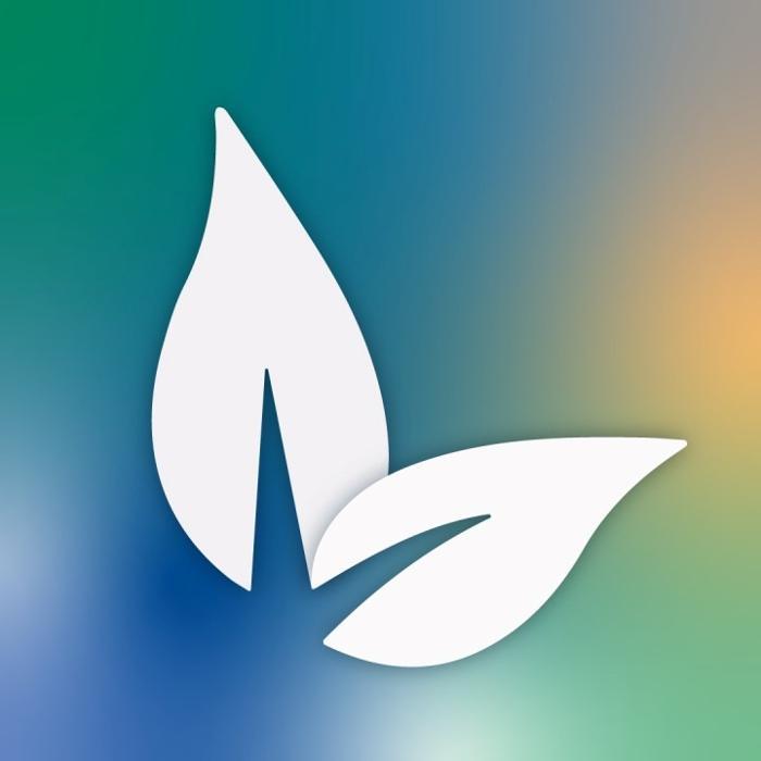 VineBrook Homes Memphis