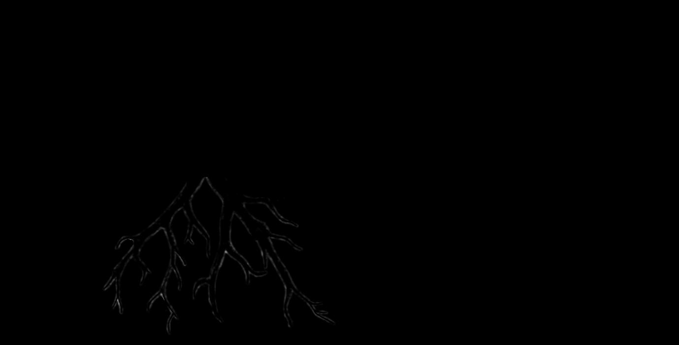 Adept Landscape And Construction