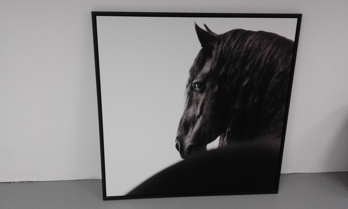 PACK & SEND Cambridge