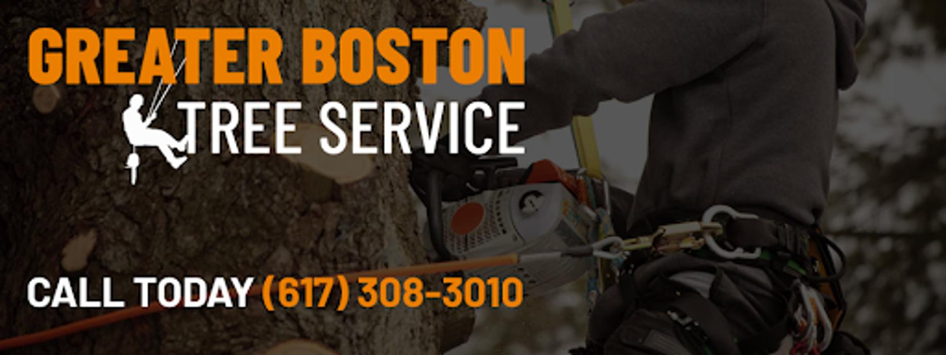 Greater Boston Tree Service