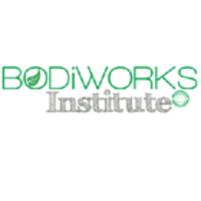 BODiWORKS Institute