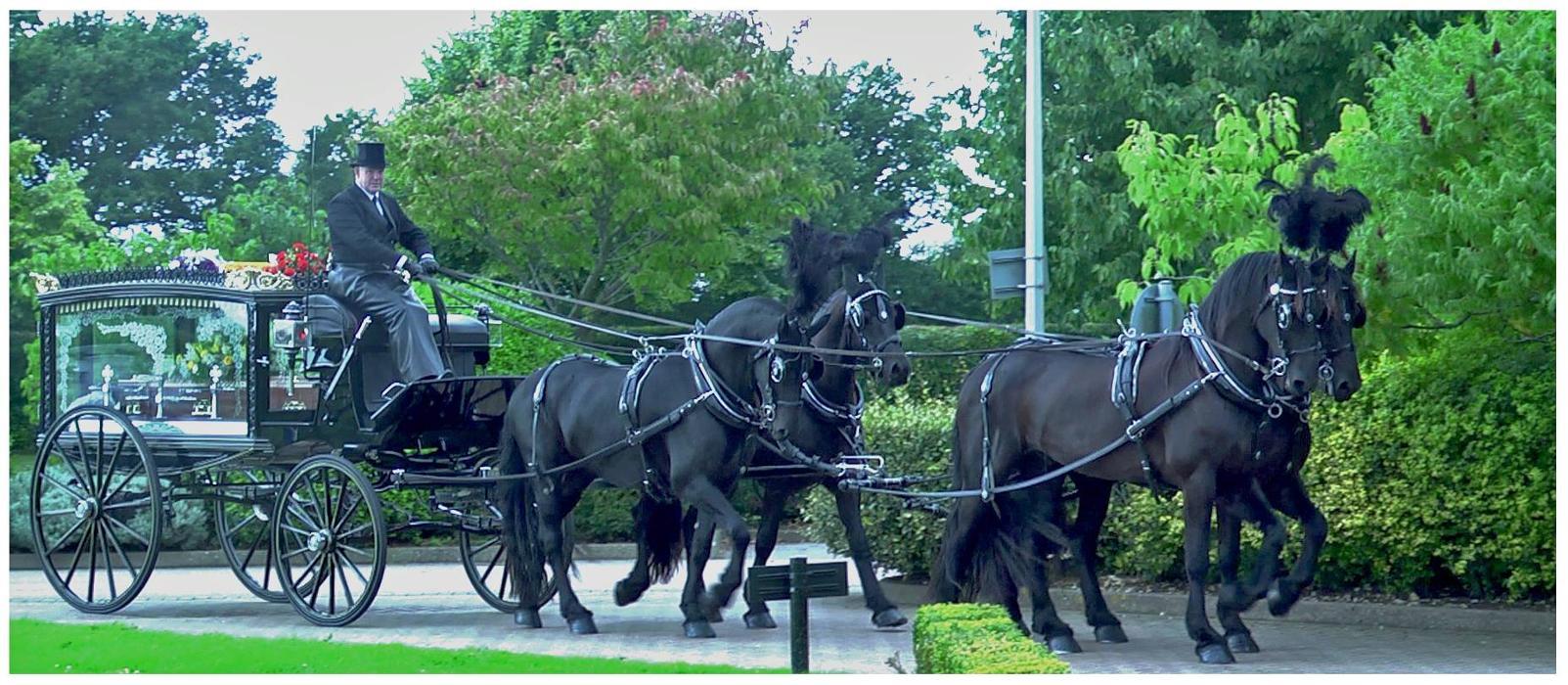 Austins Funeral Directors