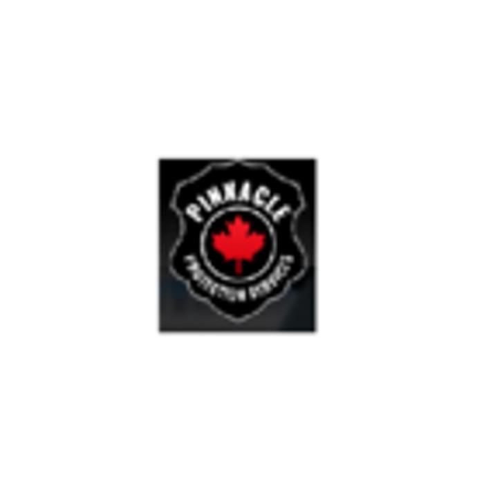 Pinnacle Security Guards Services