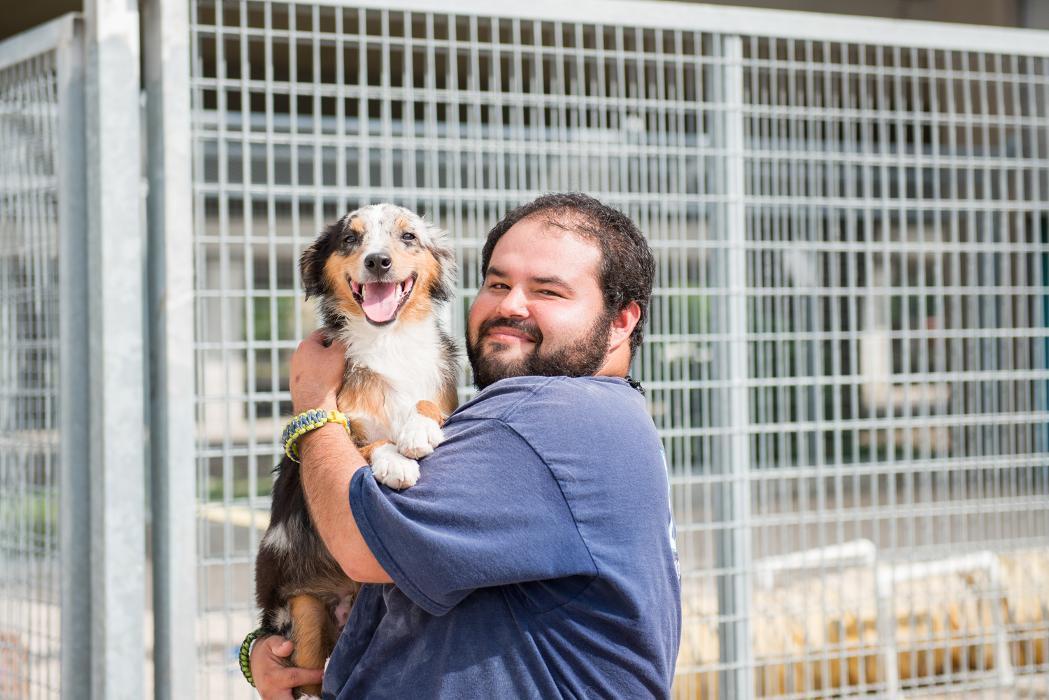 Lucy's Doggy Daycare and Spa