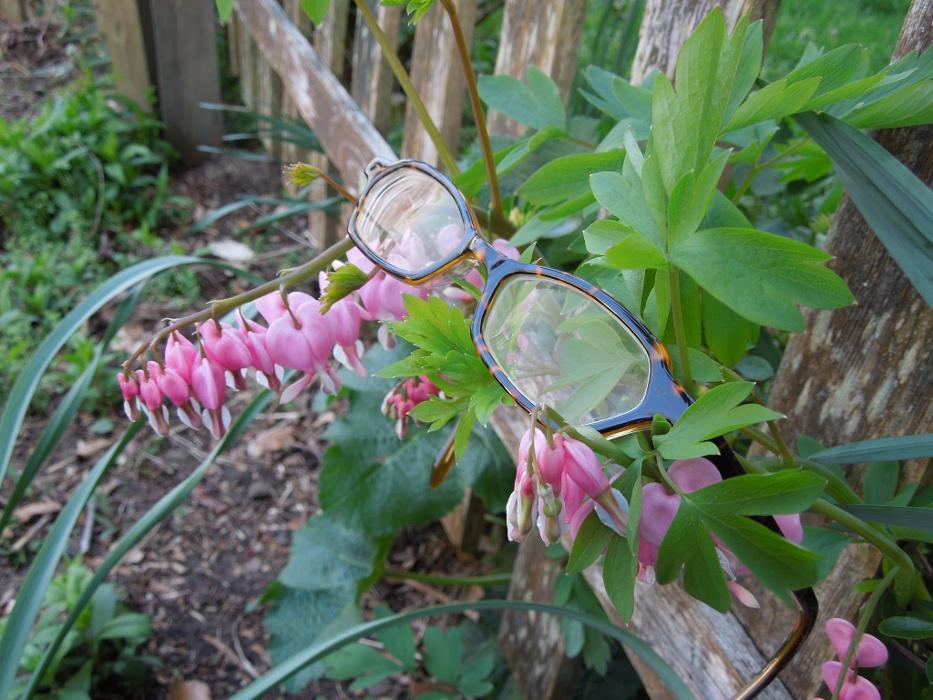 Treehouse Eyes - Crofton