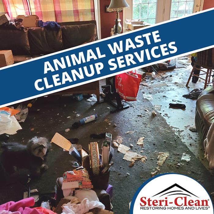 Steri-Clean Austin