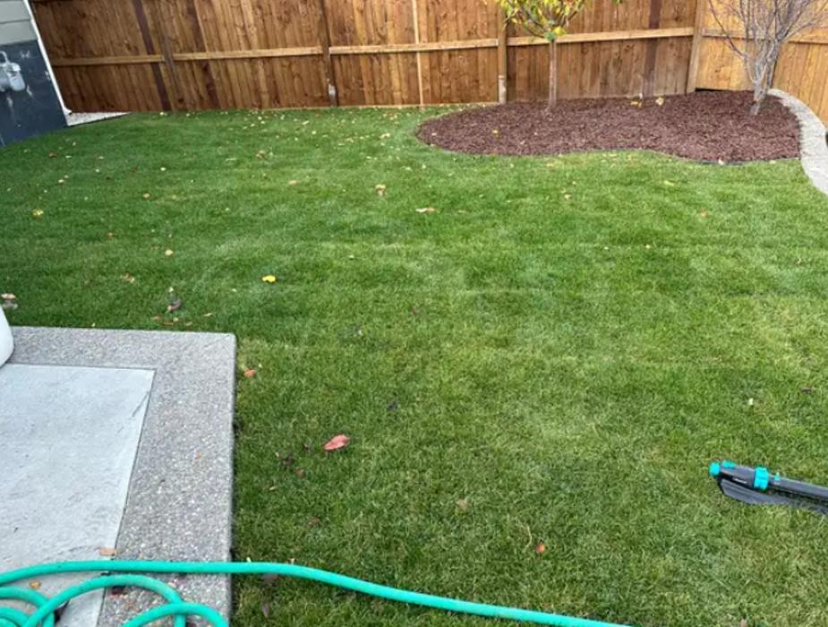 Rudy's Contracting Bobcat Service