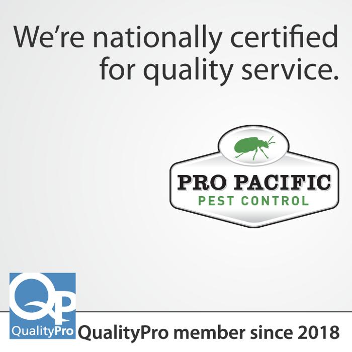 Corky's Pest Control