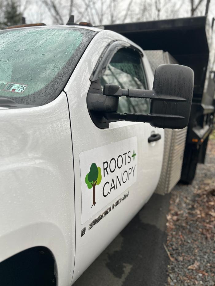 Roots and Canopy Solutions