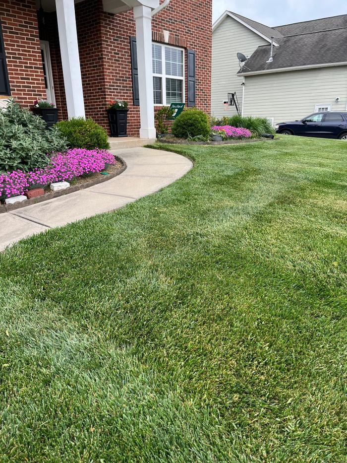 Top Turf Lawn Care and Pest Management: Austell
