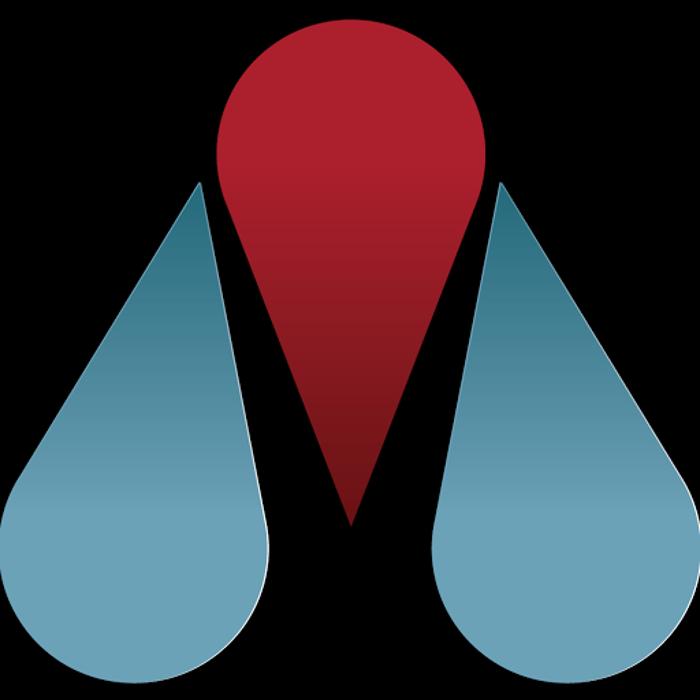 Modern Pest Services