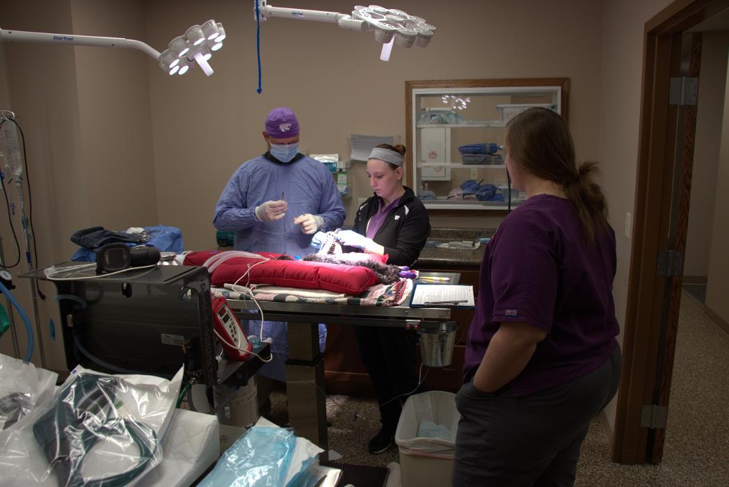 Westside Family Pet Clinic