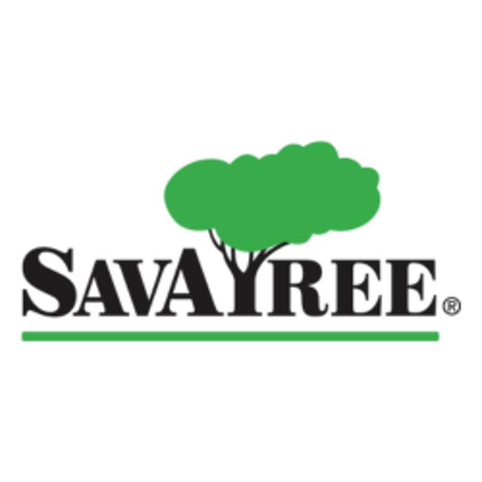 SavATree
