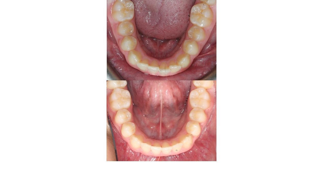 mydentist, Beverley Orthodontic Centre, Norwood, Beverley