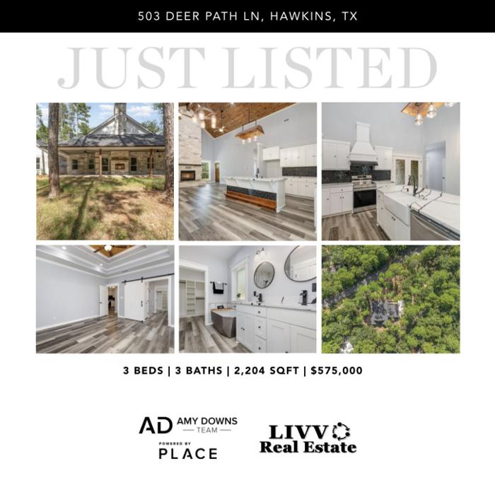 Amy Downs Team - Livv Real Estate