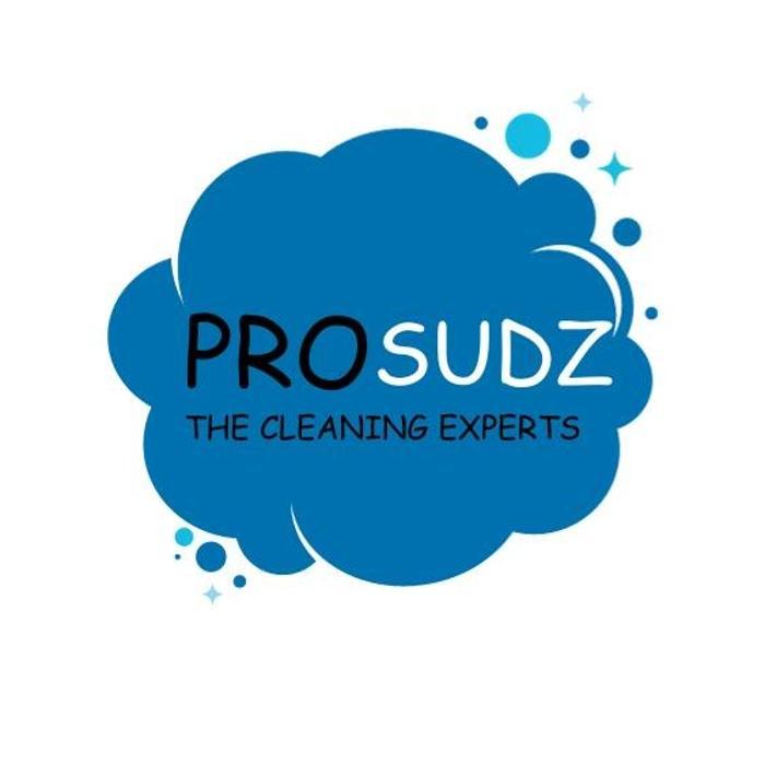 Prosudz, LLC The Cleaning Experts