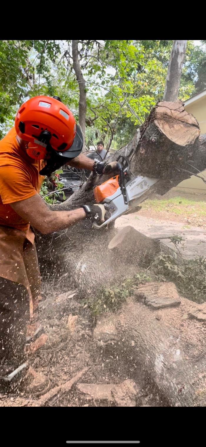 Dynamo Dusty's Tree Service