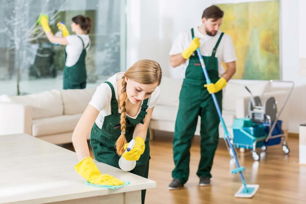 Ellivette Cleaning Services Inc