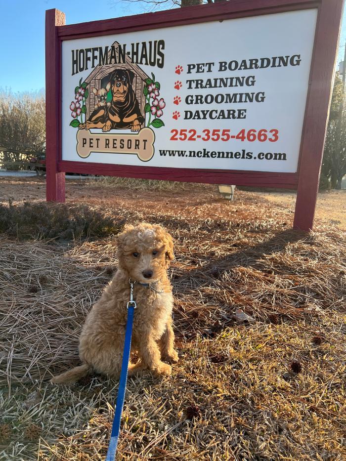 Hoffman Haus Pet Resort