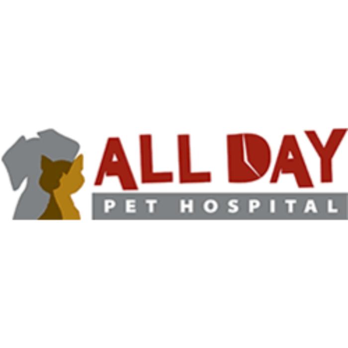 All Day Pet Hospital