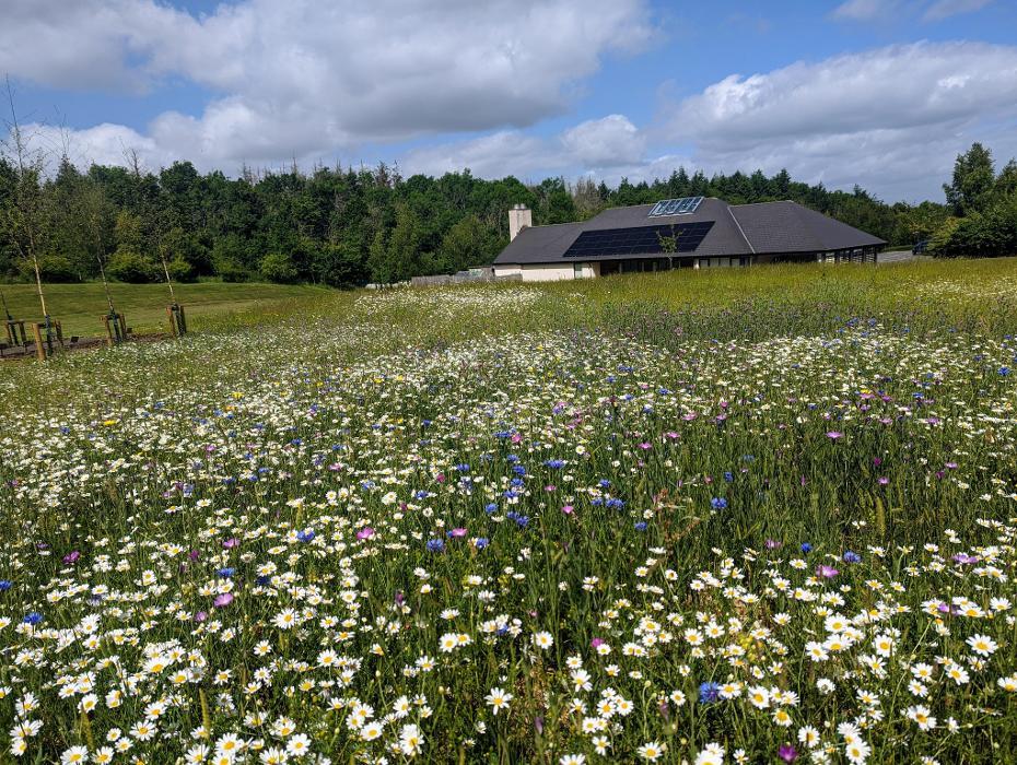 East Devon Crematorium