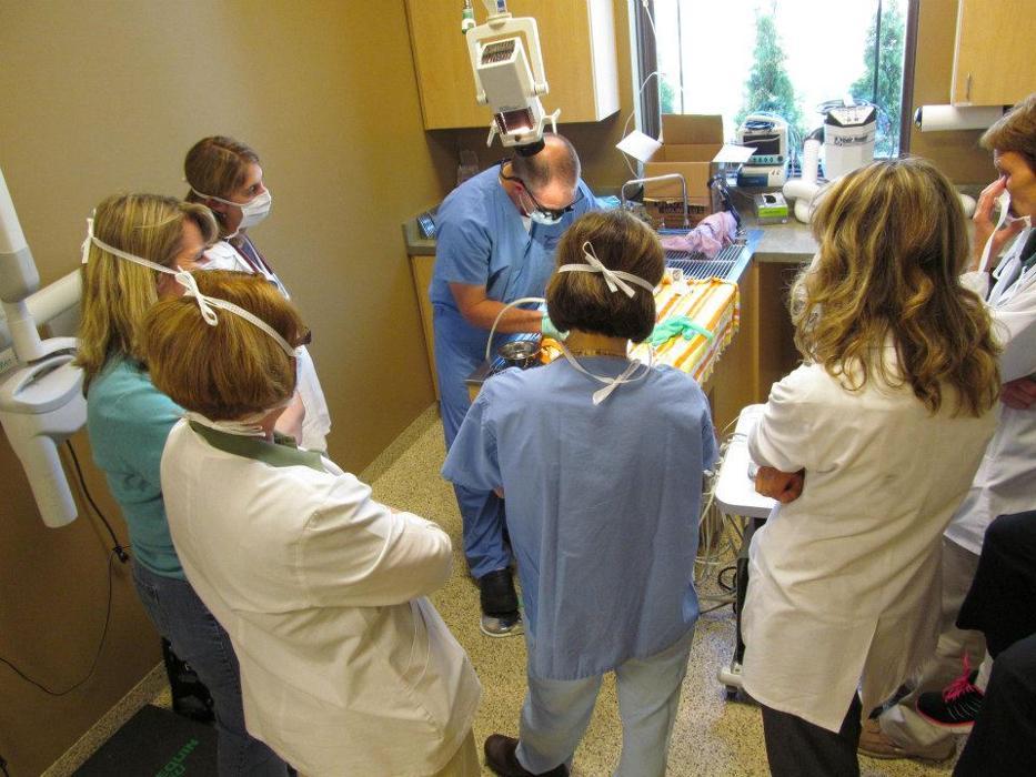 GreenTree Animal Hospital