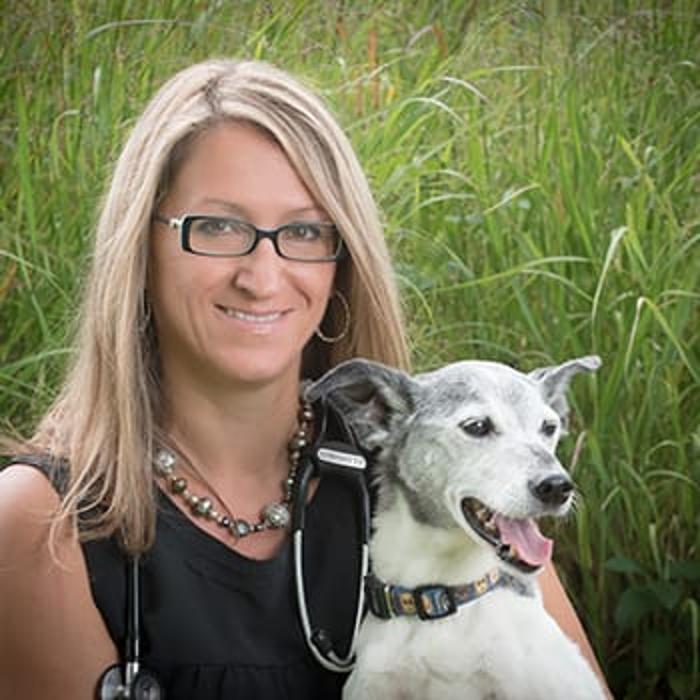 GreenTree Animal Hospital