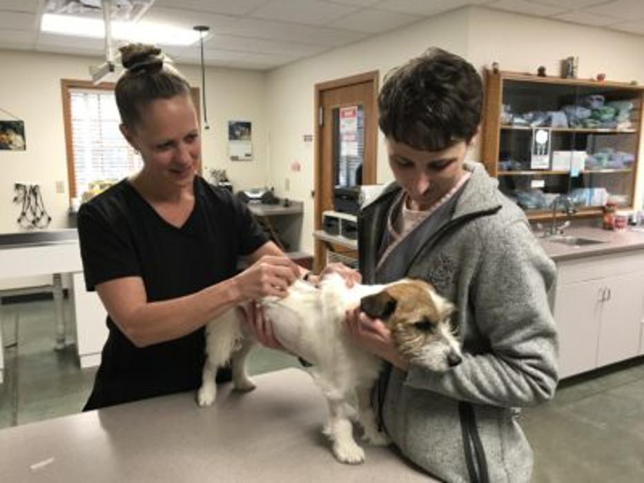 Woodhaven Animal Health