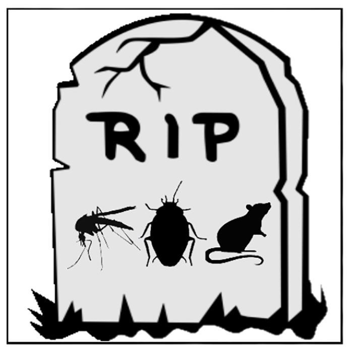 Pest Wizard Extermination Services