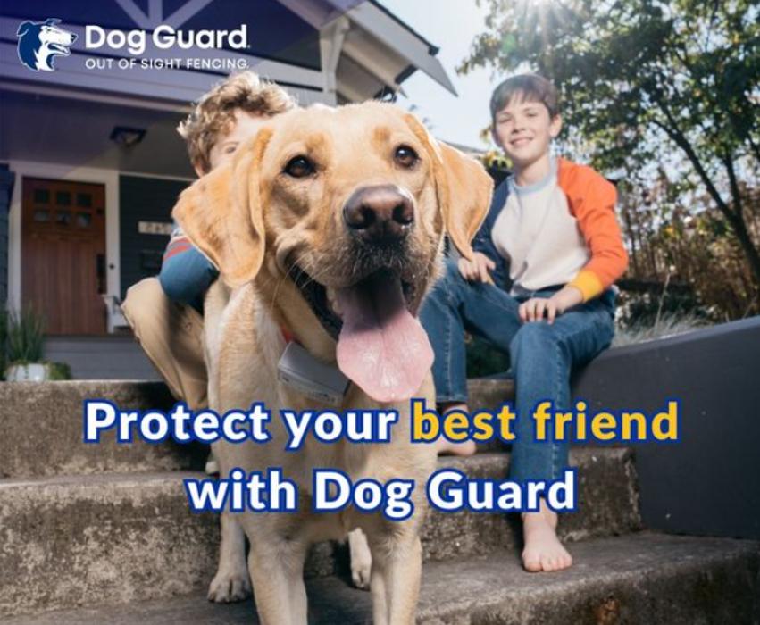 Dog Guard Pet Fencing