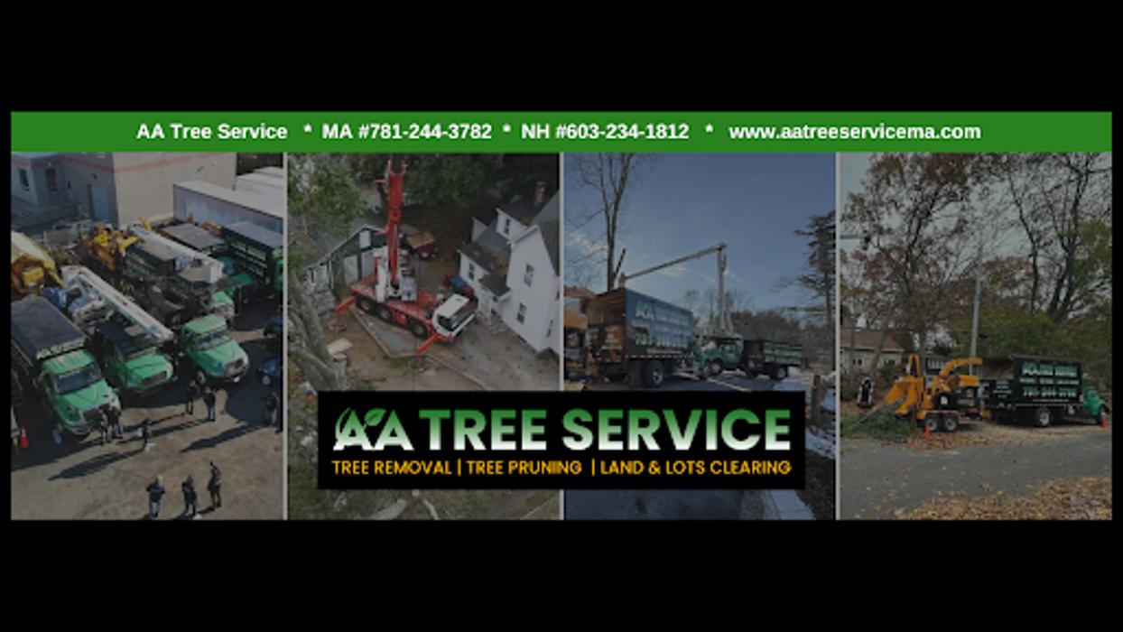 AA Tree Service
