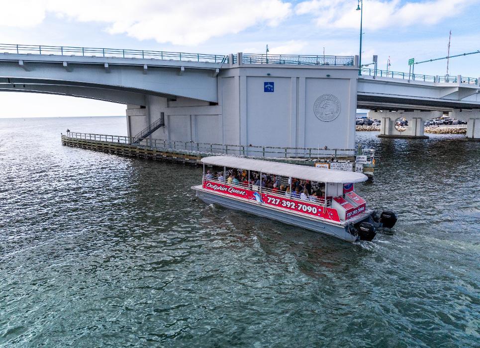 Dolphin Quest Eco Tours